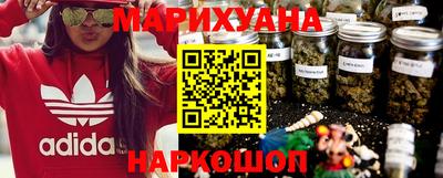 молекула духа Будённовск
