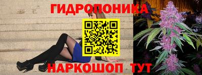 молекула духа Будённовск