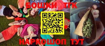 молекула духа Будённовск