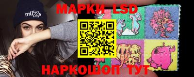молекула духа Будённовск