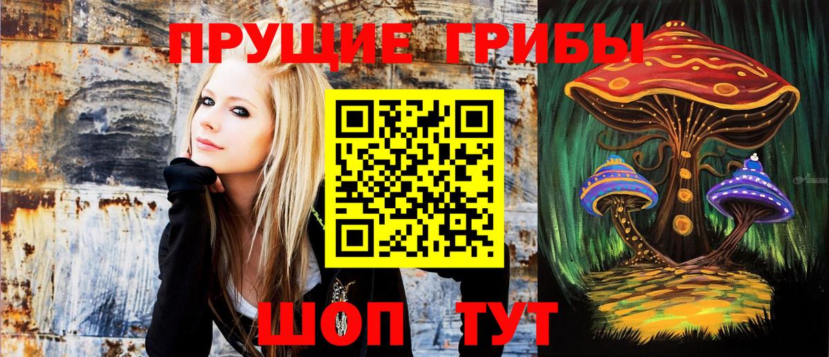 Галлюциногенные грибы GOLDEN TEACHER Кстово