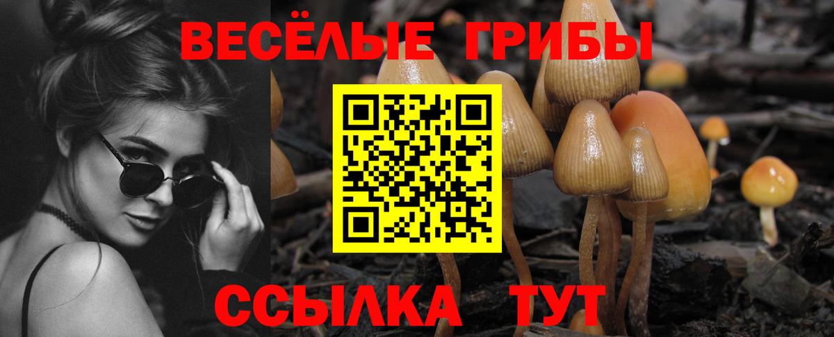 Псилоцибиновые грибы мицелий  Вход с VPN  Галлюциногенные грибы Psilocybine cubensis  Кстово 